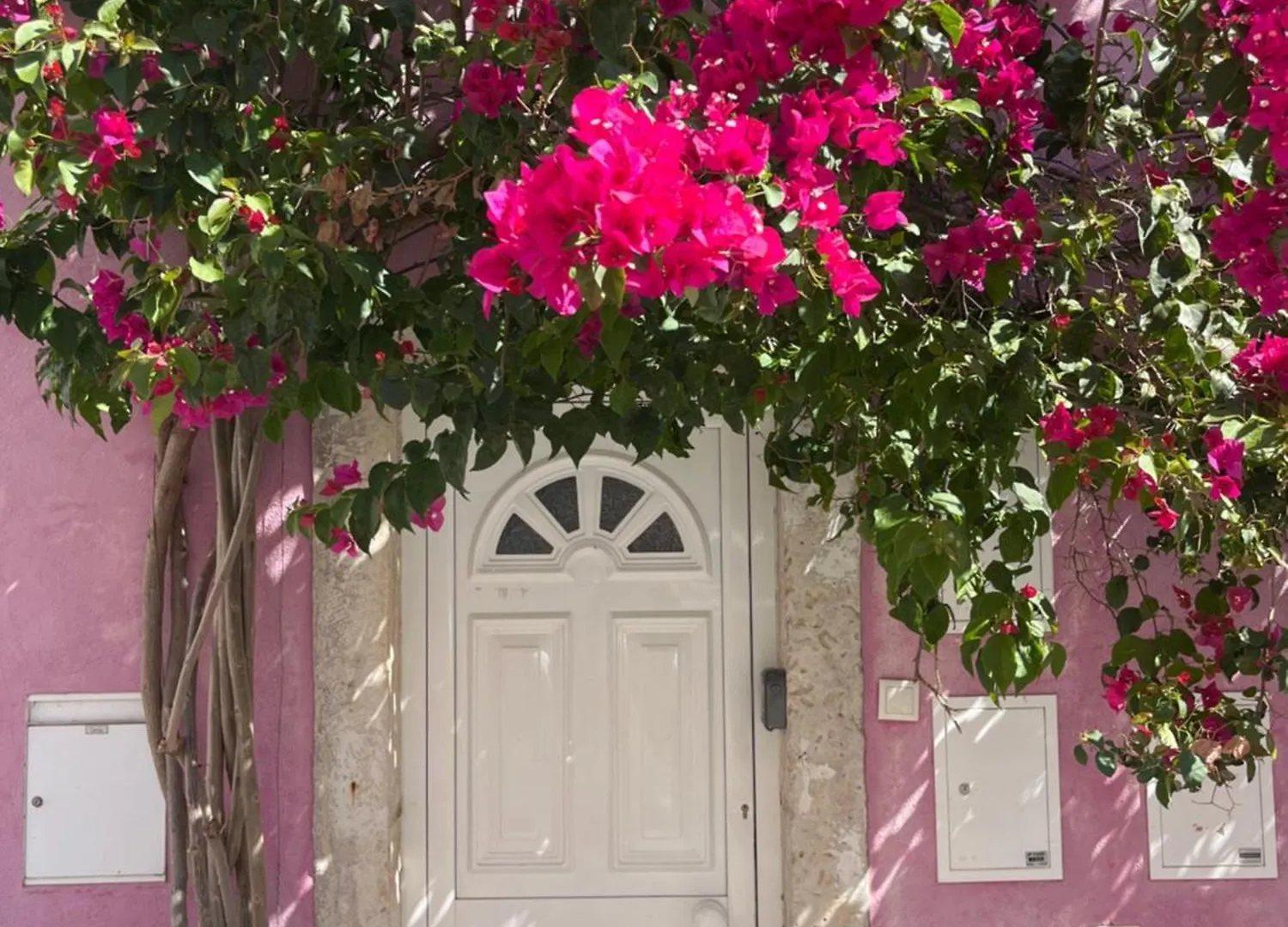 Appartement Casa Cor De Rosa à Lisboa