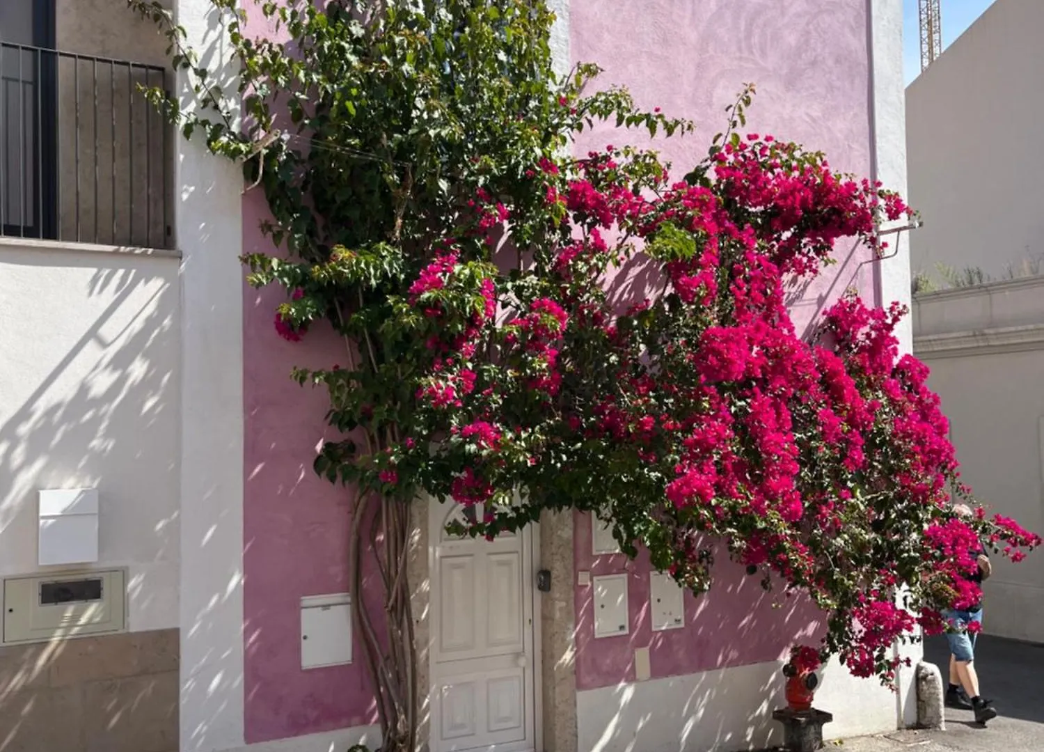 Appartement Casa Cor De Rosa à Lisboa Portugal